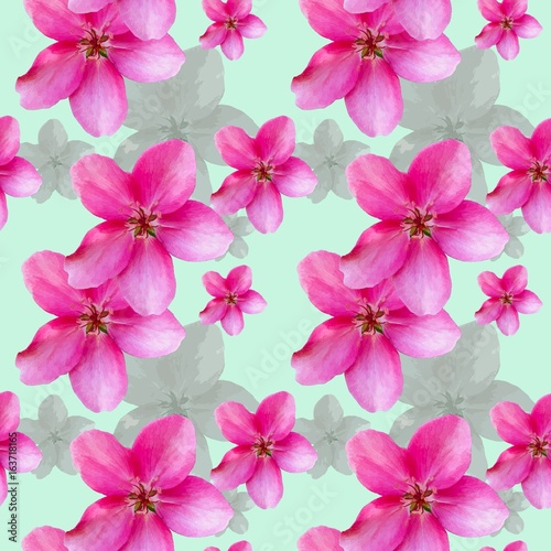 Apple flowers. Seamless pattern texture of flowers. Floral background  photo collage