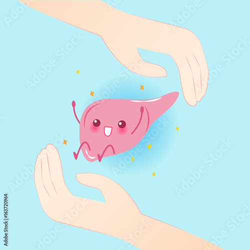 cute cartoon liver