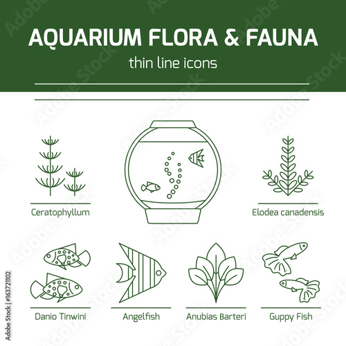 Thin line vector icons - aquarium flora and fauna