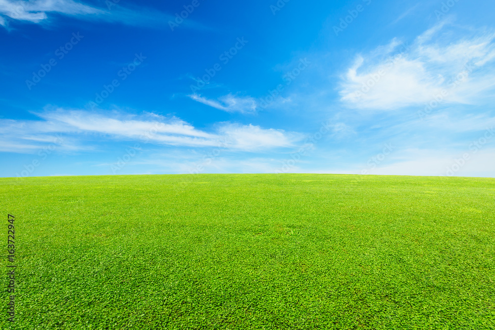 Naklejka premium zielona trawa pod błękitnym niebem