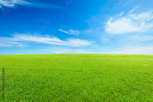 Obraz na płótnie green grass under the blue sky w salonie
