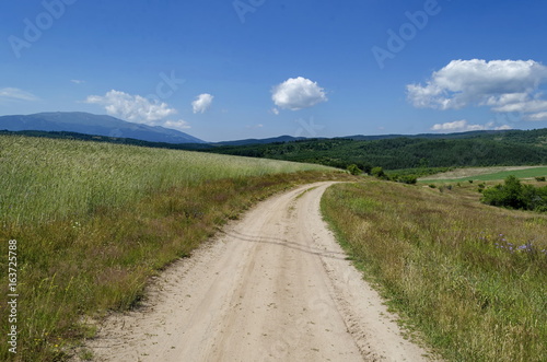 Plana mountain in summer, Bulgaria