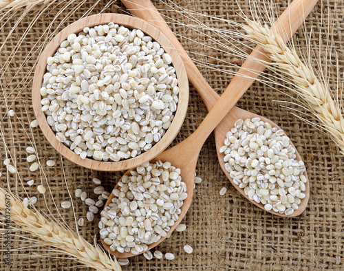 pearls barley grain seed on background photo