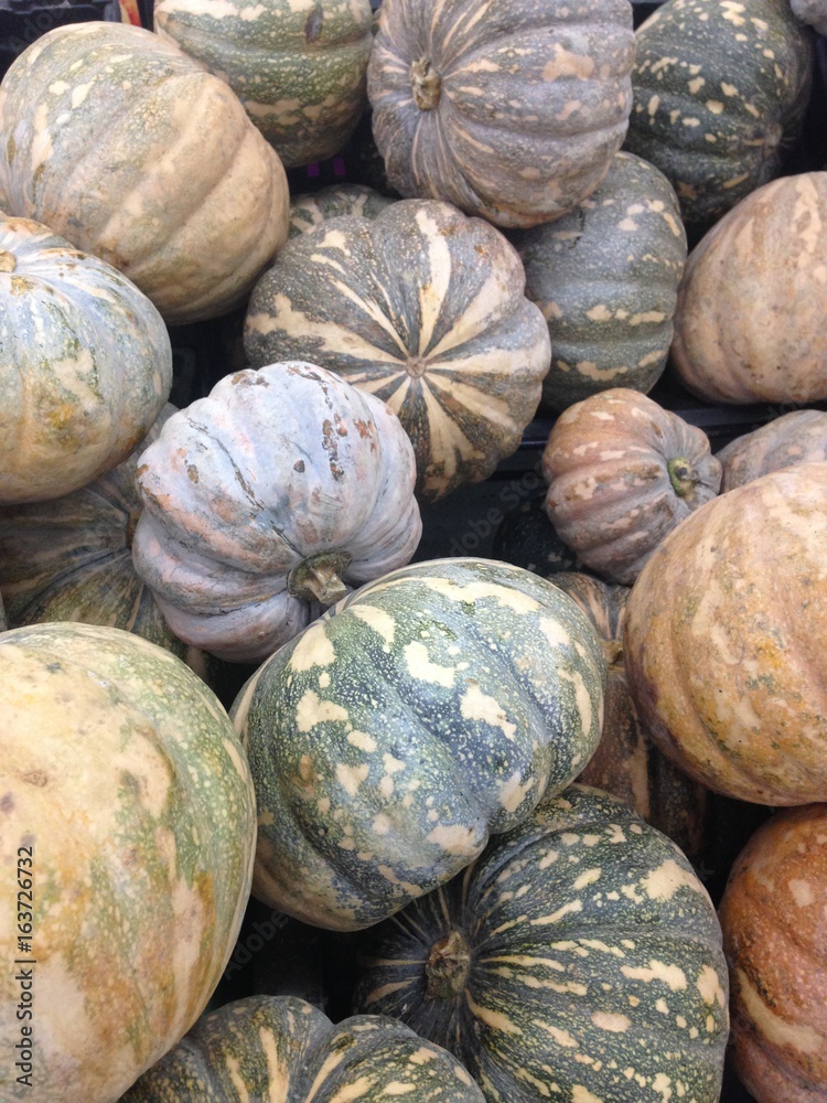 Fresh pumpkins background in market.