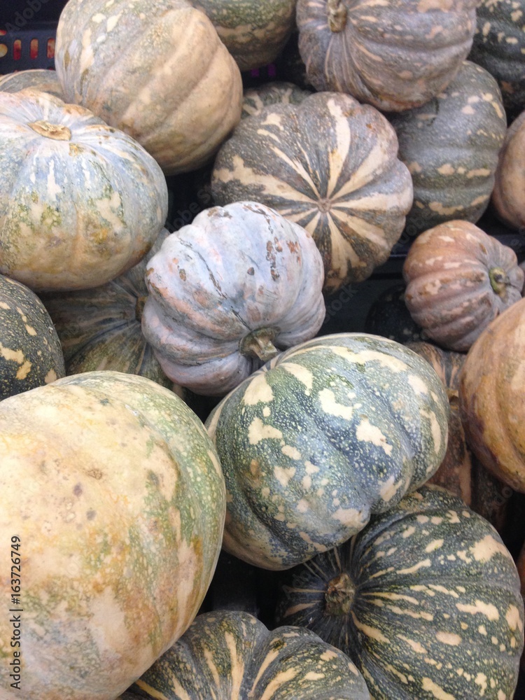 Fresh pumpkins background in market.