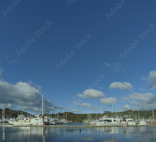 Large yachts in the Whitianga, Coromandel Marina in New Zealand © Vaal