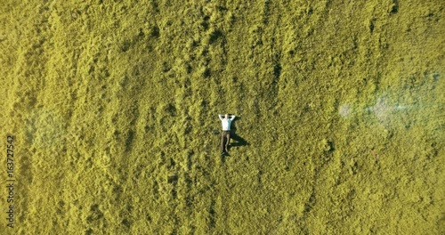 Wallpaper Mural Aerial UHD 4K view. Vertical motion flight over businessman lying on fresh green meadow at sunny summer morning. Top view on handsome relaxing man. Torontodigital.ca