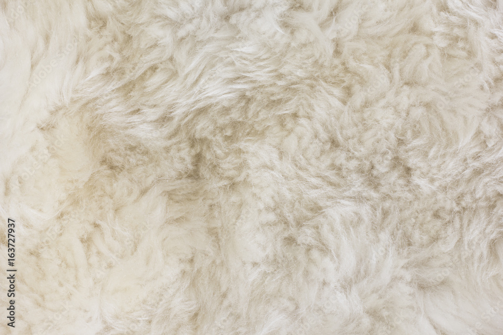 Fur Texture./Fur Texture Fur Texture./Fur Texture