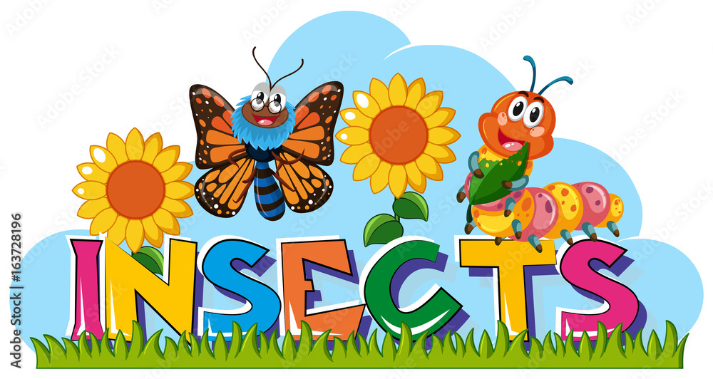 Fototapeta premium Wordcard for insects with butterfly and caterpillar