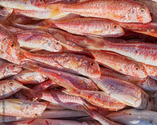 fresh mullets for sale at the local market