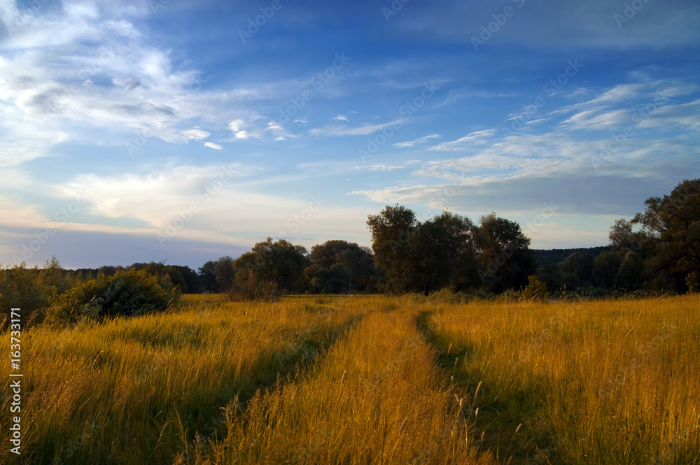 Road through the meadow at autumn evening
