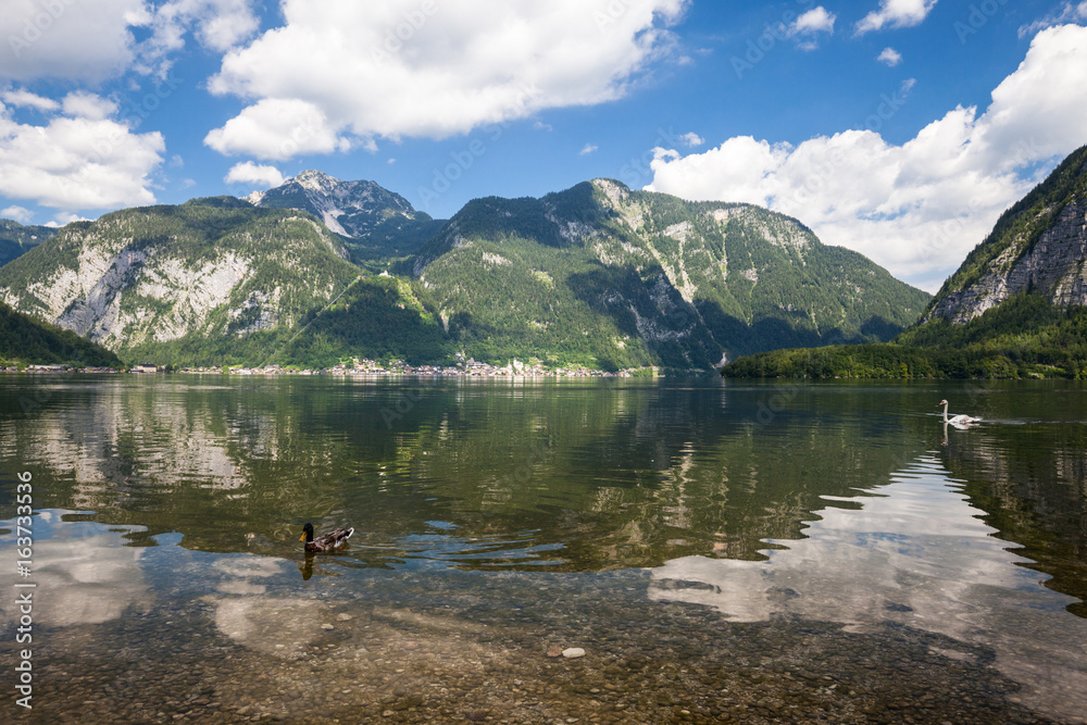 Alpine mountain lake summer panoramic view Alpine mountain lake summer panoramic view