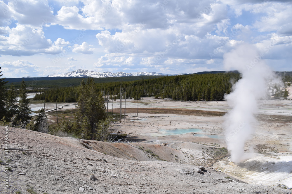 Geyser Yellowtone