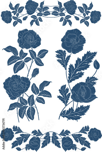 Vectorial image of plants, silhouettes, flowers. Decorative elements from roses and maquis.