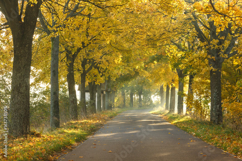 Autumn road   North Poland 