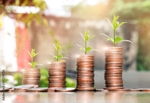step of coins stacks with tree growing on top, nature background, money, saving and investment or family planning concept, over sun flare silhouette tone.