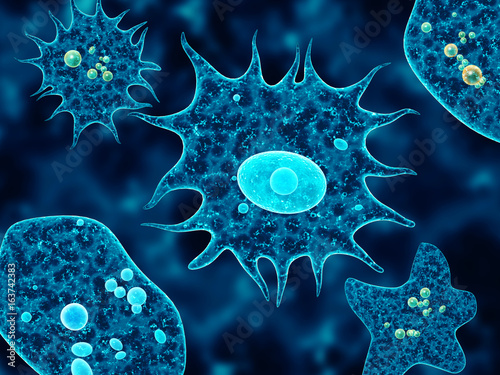 Amoebas on black background