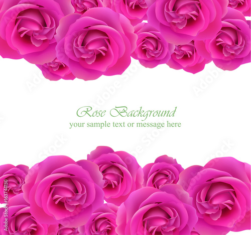 Pink roses card Vector. delicate summer card. Springtime fresh natural compos...