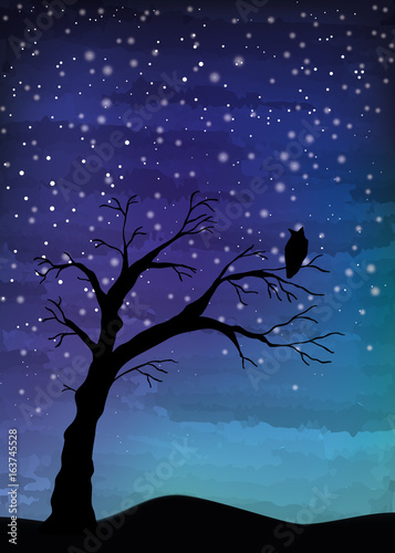 The old tree and the bird on the night sky