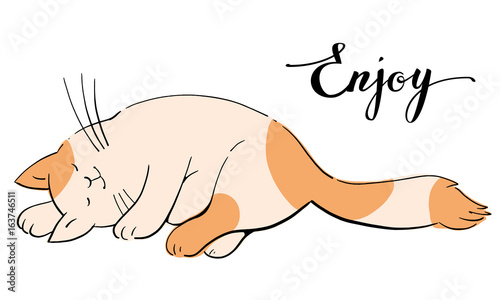 Sleeping cats