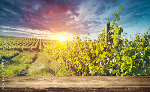 Red wine with barrel on vineyard in green Tuscany, Italy © kishivan