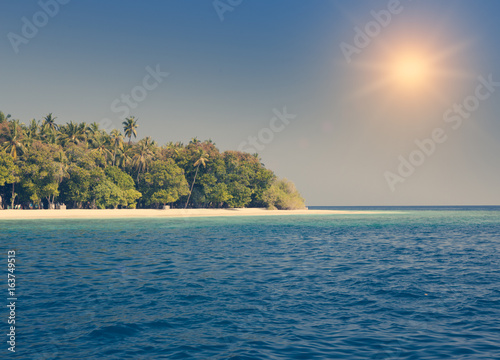 The island with palm trees in the ocean, retro effect © Konstantin Kulikov