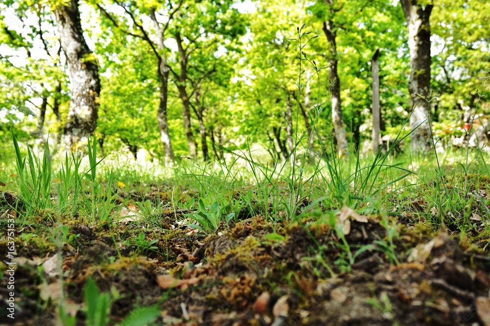 Paysages et faune Paysages et faune