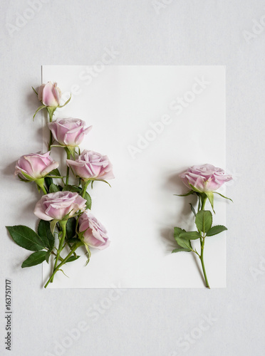 Festive greeting card with wild roses