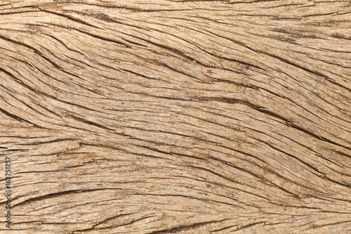 Close-up pattern of sun-dried African Acacia old wooden board photo