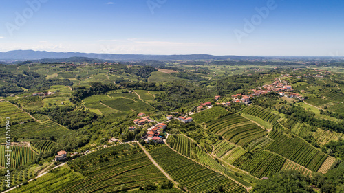 Goriska Brda from above