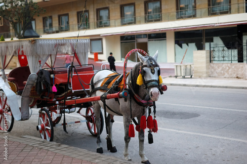 Horse carriage for tourists in Turkey