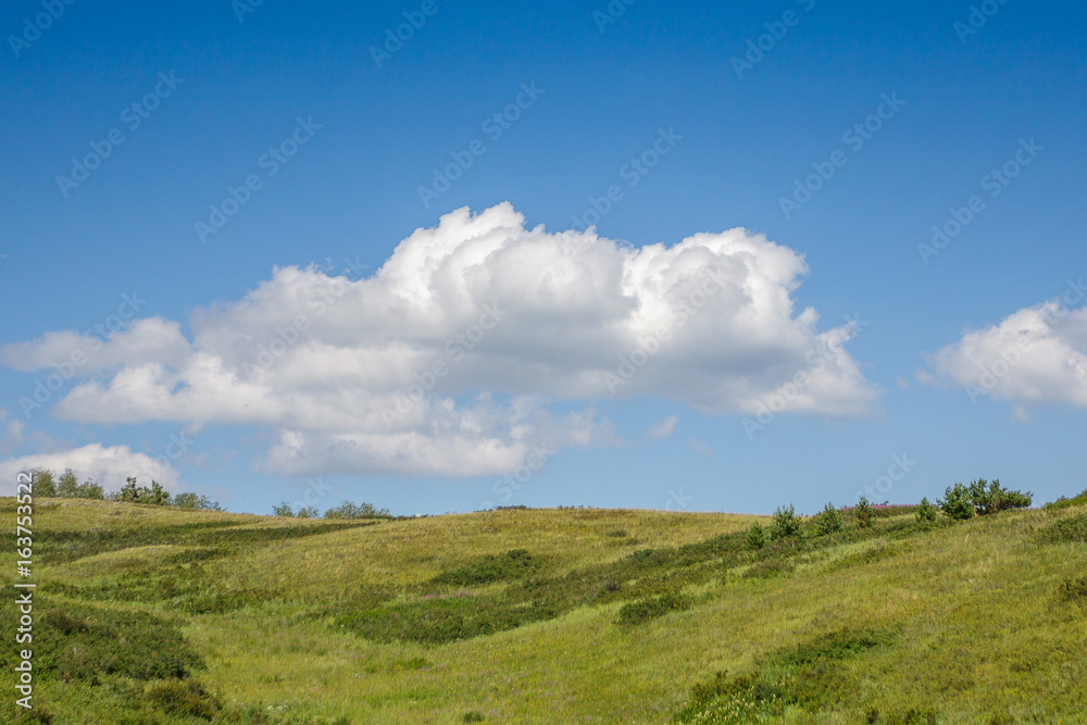 Yellow-green hill and sky with clouds. Wild grasses.