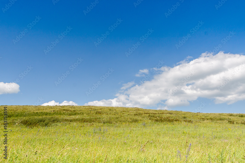 Obraz premium Yellow-green hill and sky with clouds. Wild grasses.