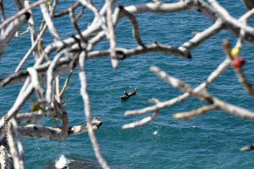 Pêcheur sur le lac Malawi