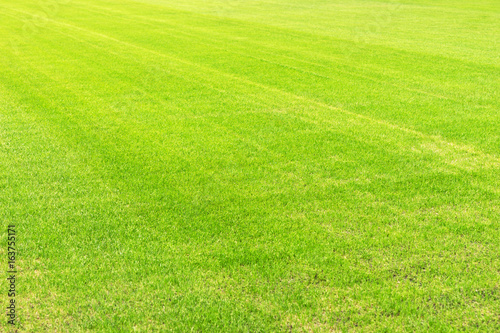 Grüner Rasen - Fußballplatz