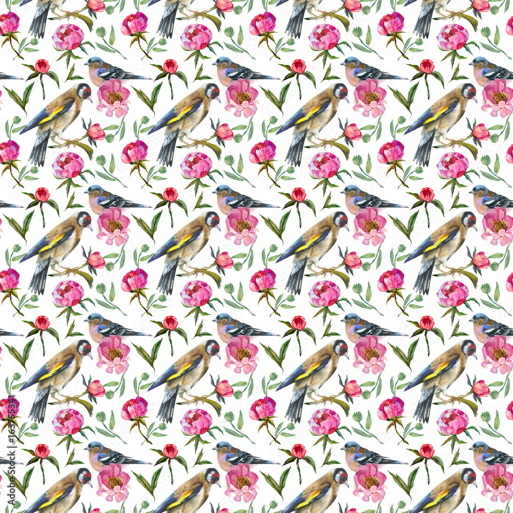 Fototapeta premium Wildflower peony flower pattern in a watercolor style. Full name of the plant: peony. Aquarelle wild flower for background, texture, wrapper pattern, frame or border.
