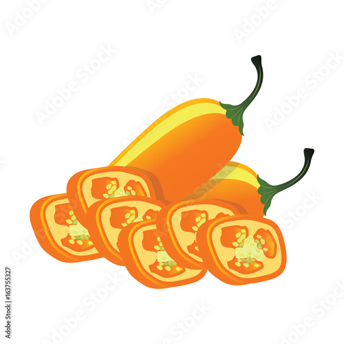 slice of raw jalapenos. vector illustration