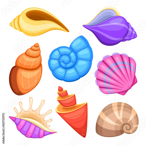 Ocean cockleshells. Cartoon sea shells vector collection