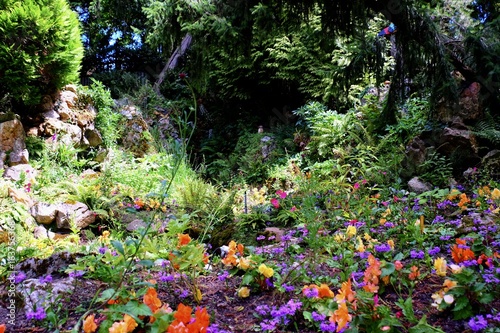 Fototapeta Naklejka Na Ścianę i Meble -  Jardin des Plantes  