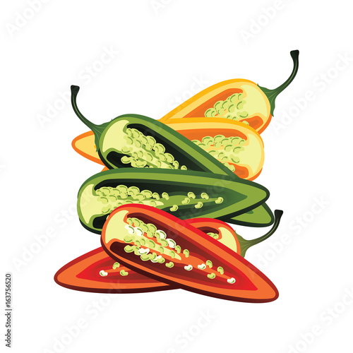 slice of raw jalapenos. vector illustration