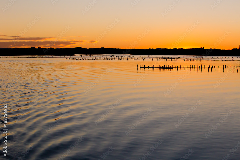 Naklejka premium Oyster Farm Beds silhouetted at sunset