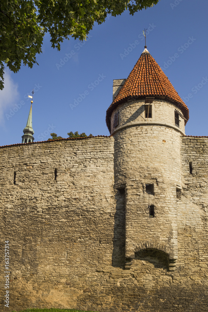 Old fortress of Tallin