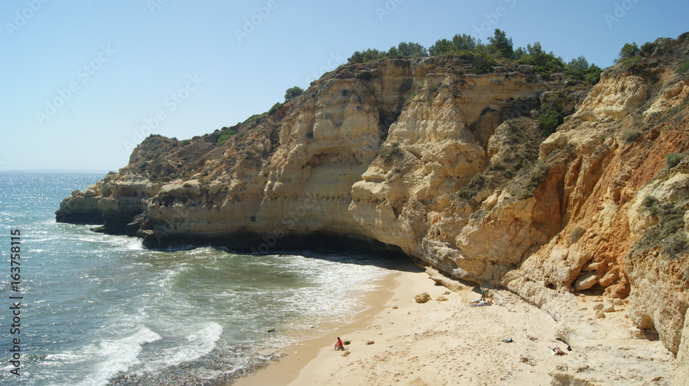 Obraz premium SONY DSC