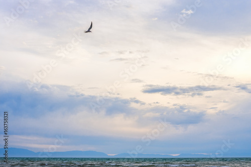 bird flying over surface of green sea waves with mountains on background 