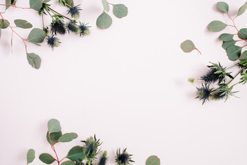 Beautiful eucalyptus branches and eringium flowers border frame on pale pastel pink background. Flat lay, top view. Lifestyle composition.
