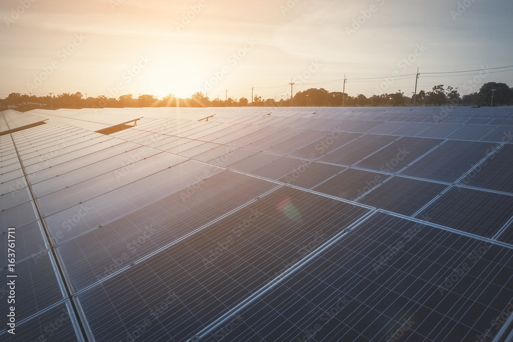 custom made wallpaper toronto digitalsolar panel at solar power plant to innovation of green energy for life