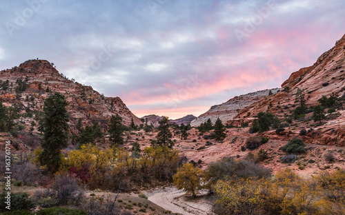 Scenic view, Zion National Park, Springdale, Utah, USA photo