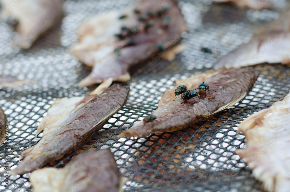 Fototapeta premium close up group fly eat Dried fish