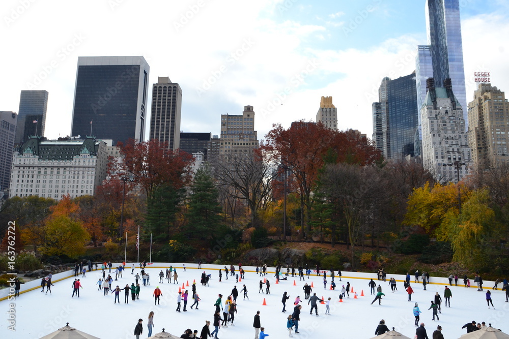 Obraz premium patinoire à Central park