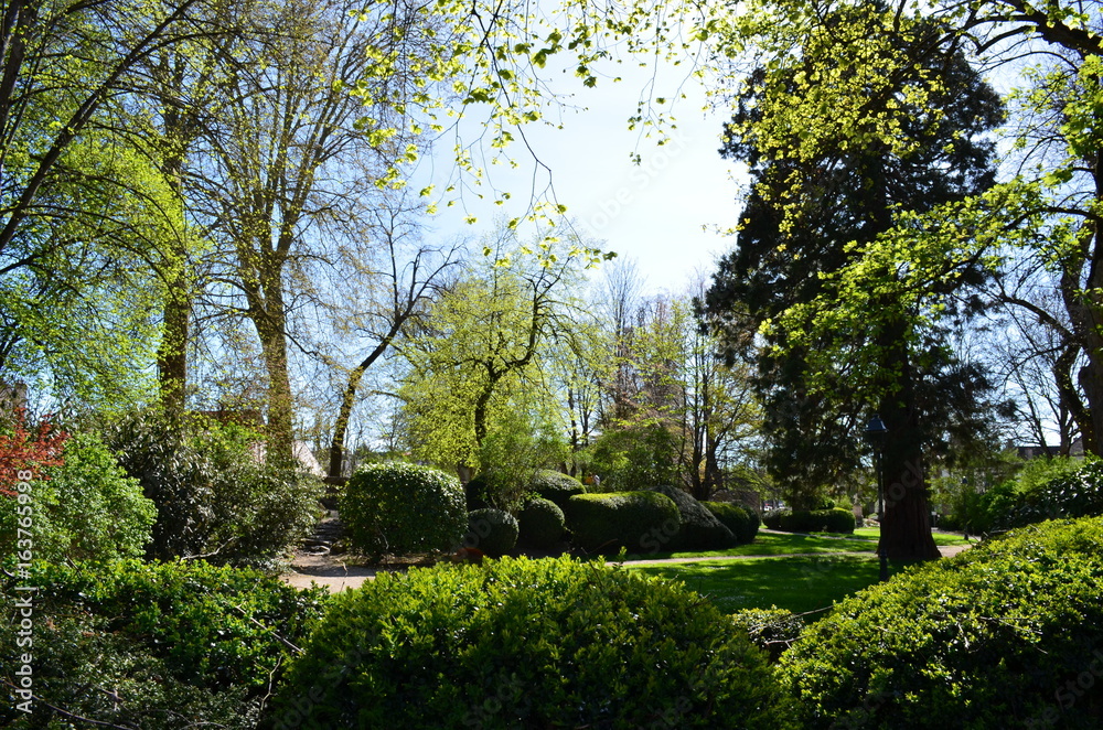 Espace vert à Beaune